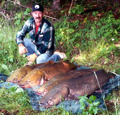 4 cats=238 pounds