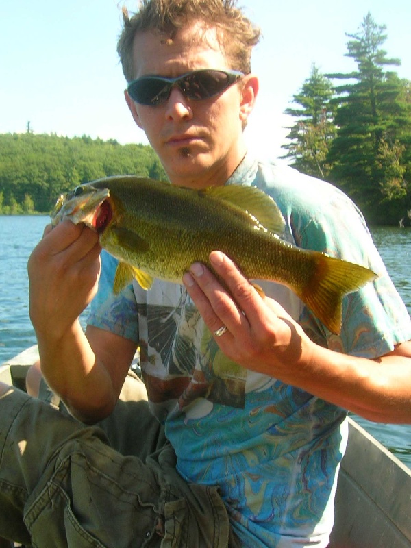 Small mouth bass spot near Winhall