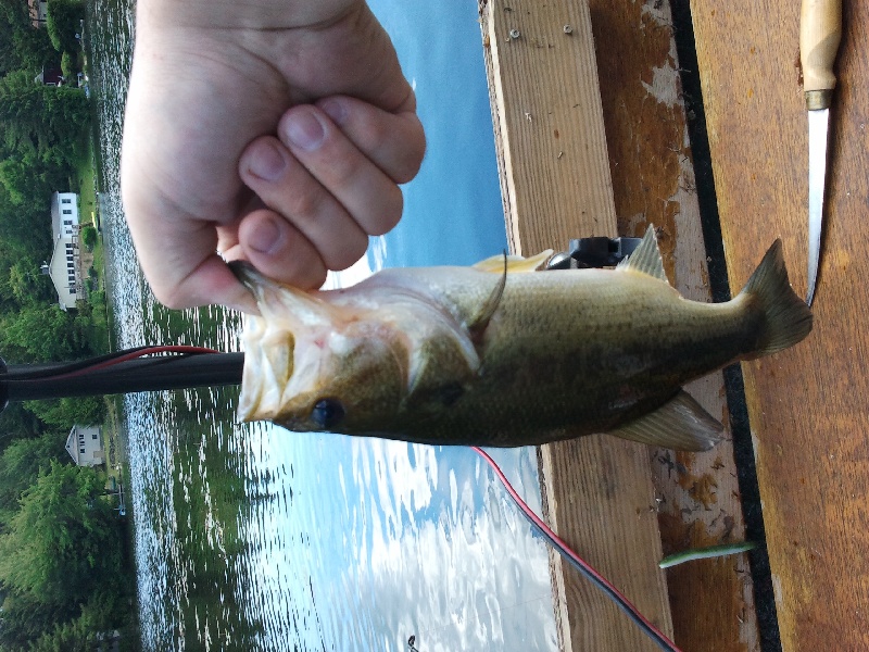 Babcock Lake 7/2/11 LMB near Pownal