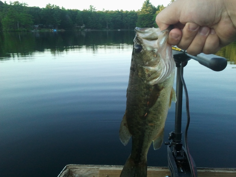 LMB2 near Bennington