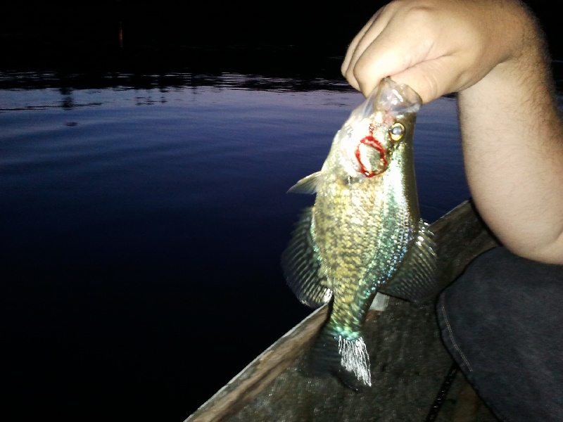 Crappie near Woodford