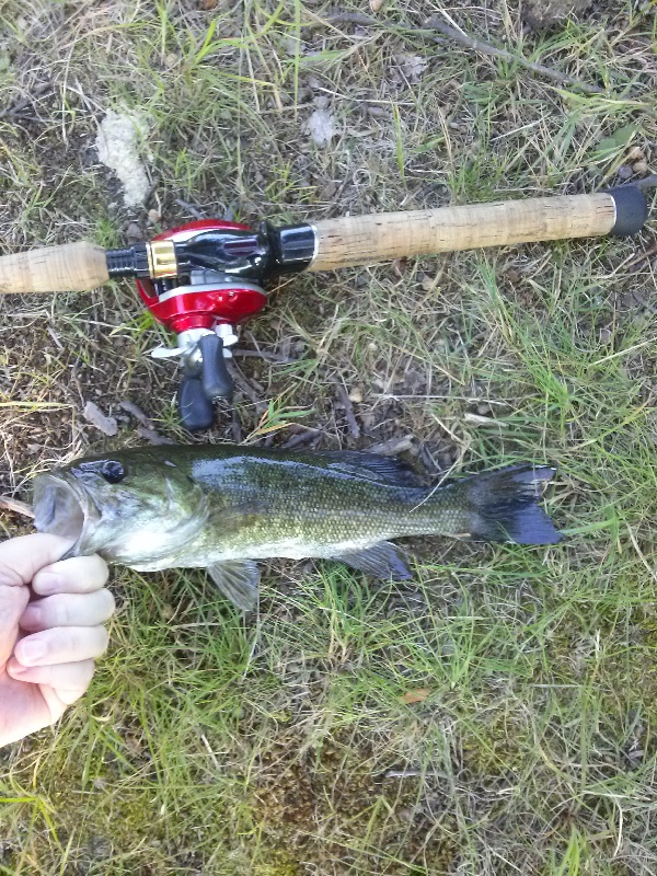 Largemouth