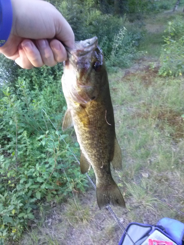 smallie