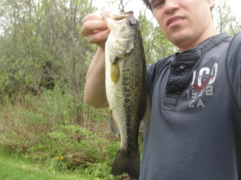 Lincoln fishing photo 3