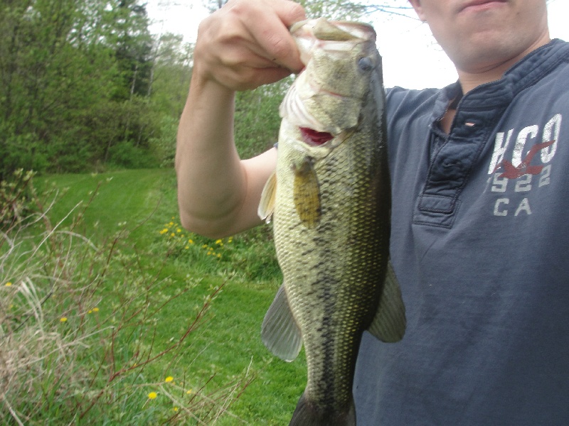 Northfield fishing photo 4