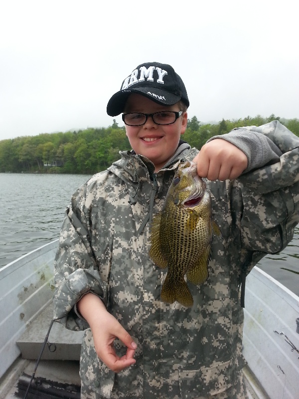 Rockbass near Putney