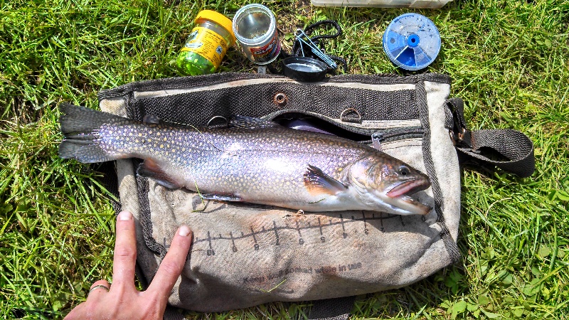 Lunenburg fishing photo 3