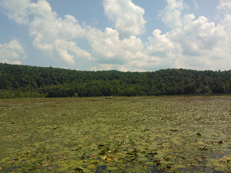 Thick s*** near Middletown Springs