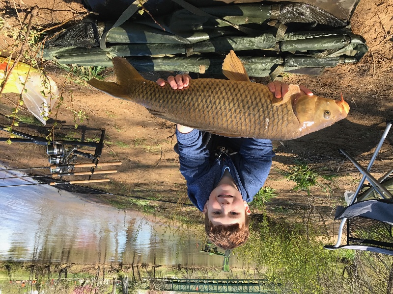 Carp #2