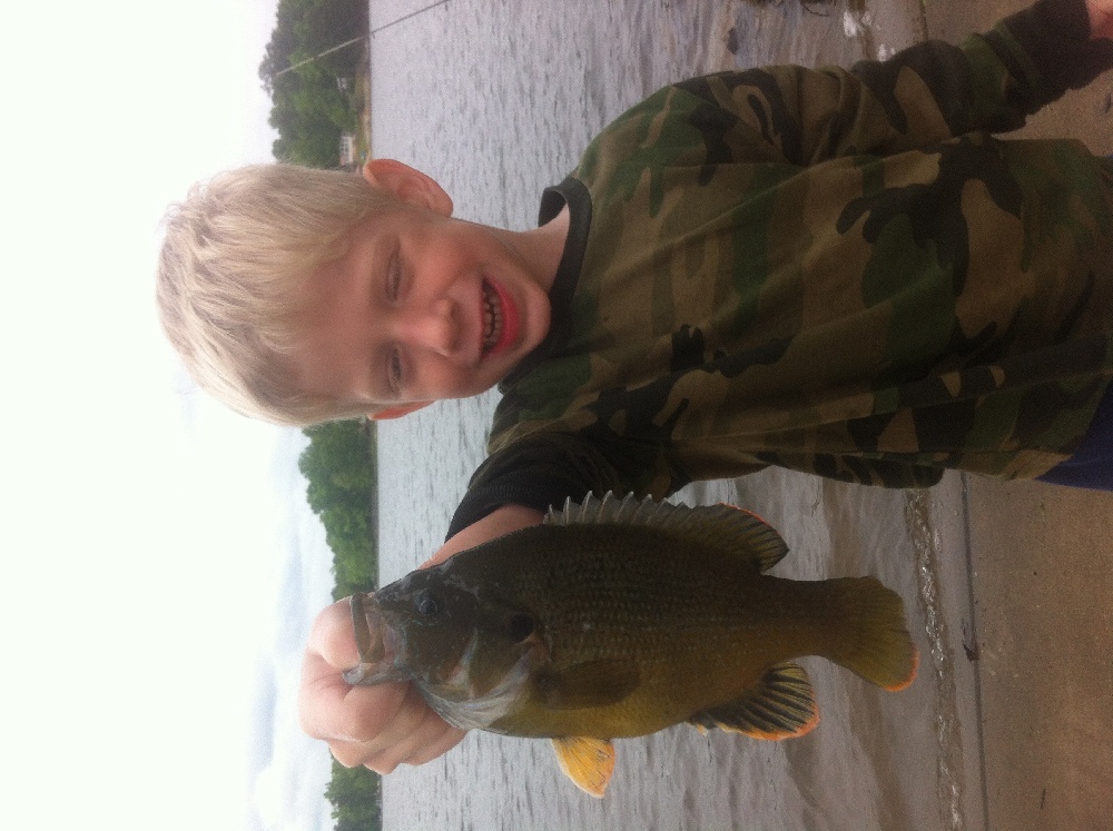 Lake Murray green sunfish!