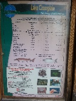 8/6/14 - 8/8/14 - Prefishing Lake Champlain (Ticonderoga) Fishing Report