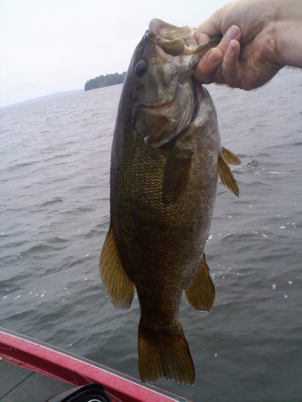 Champlain smallie near North Hero