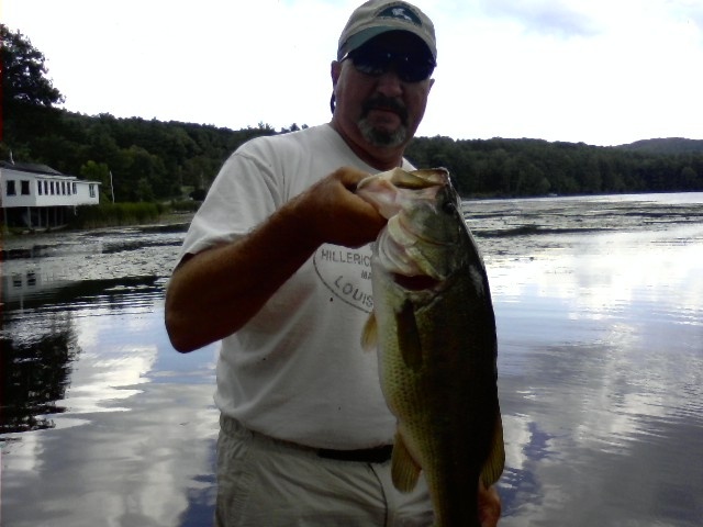 5.6 Lb from Hortonia