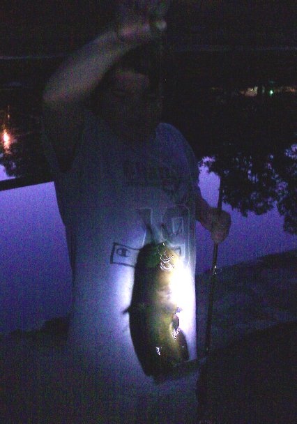 bullhead