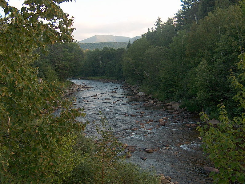 Newbury fishing photo 4