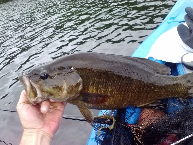 Saint Johnsbury fishing photo 1