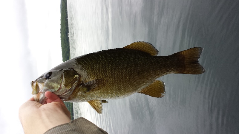 Castleton fishing photo 1