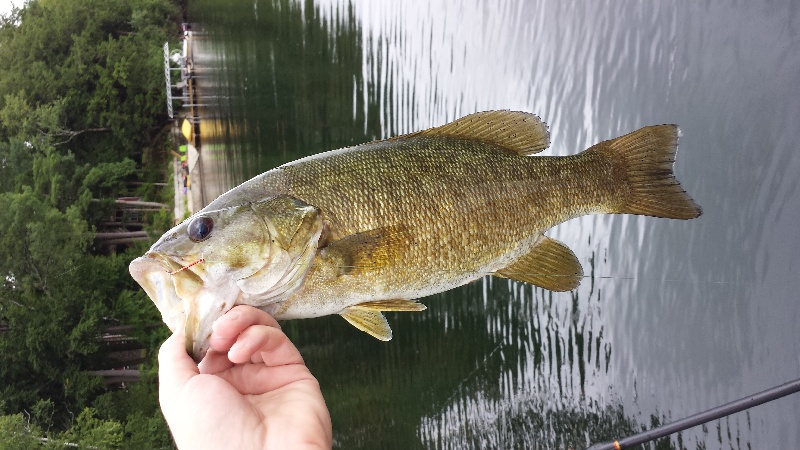 Brandon fishing photo 2