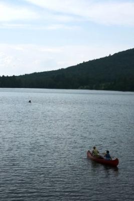 Martin Meadow Pond 