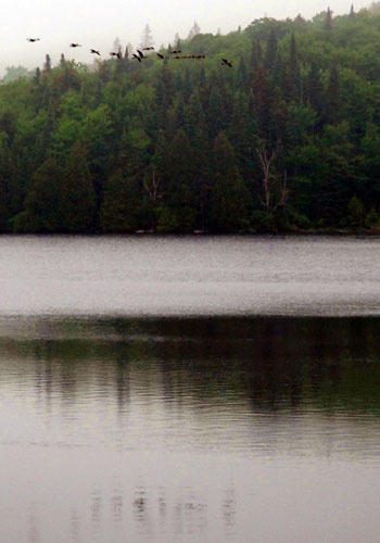 Wolcott Pond