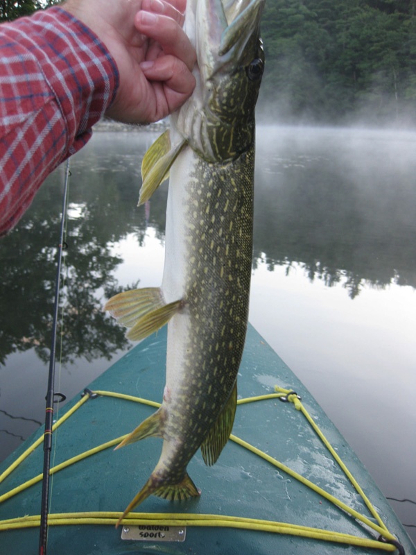 Rupert fishing photo 3