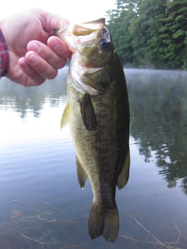 Rupert fishing photo 1