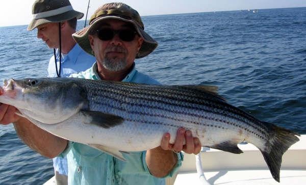 Geo w/ his Sandy Hook Striper